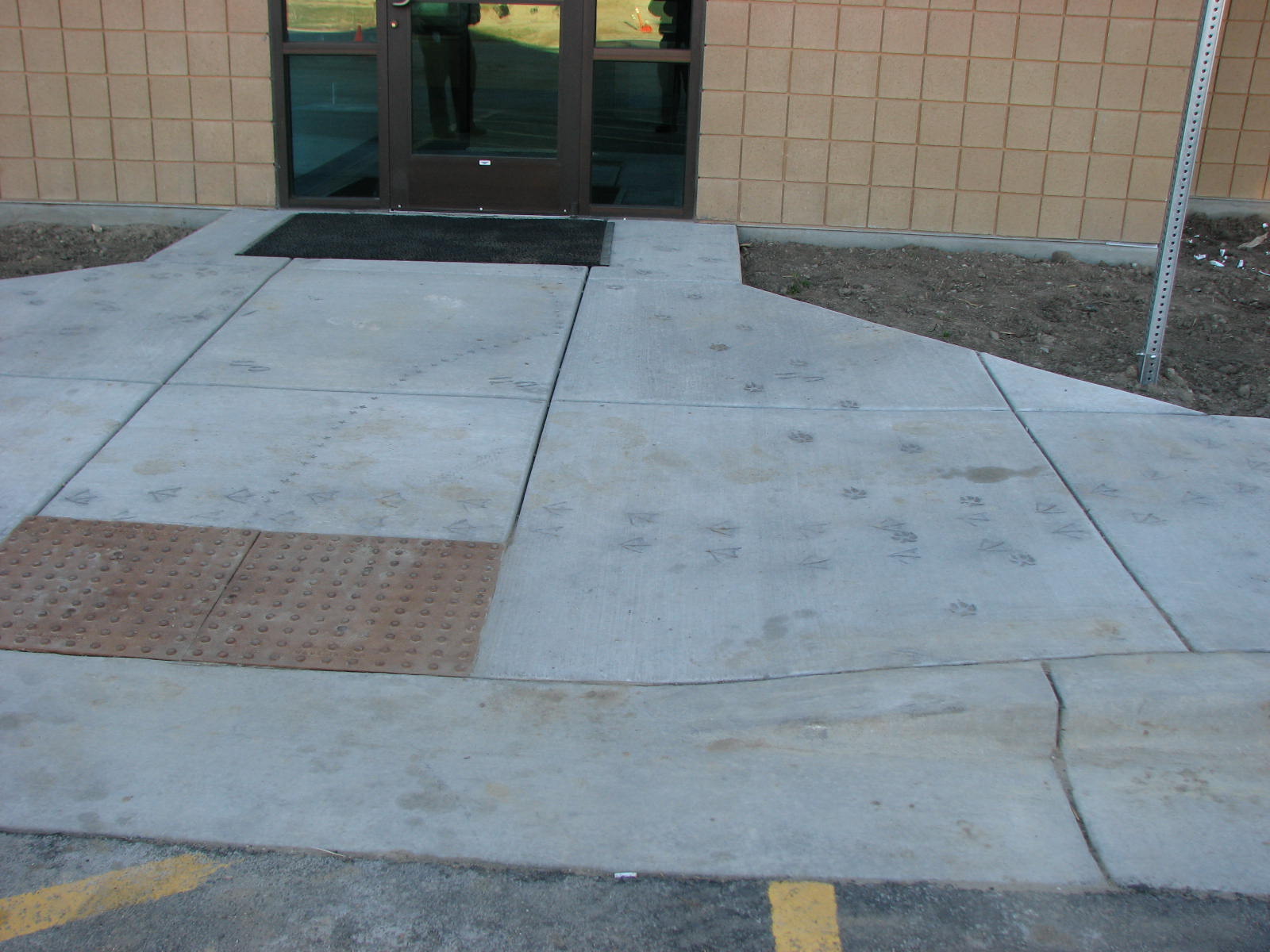 ANIMAL TRACK CONCRETE STAMPS PAGE ONE